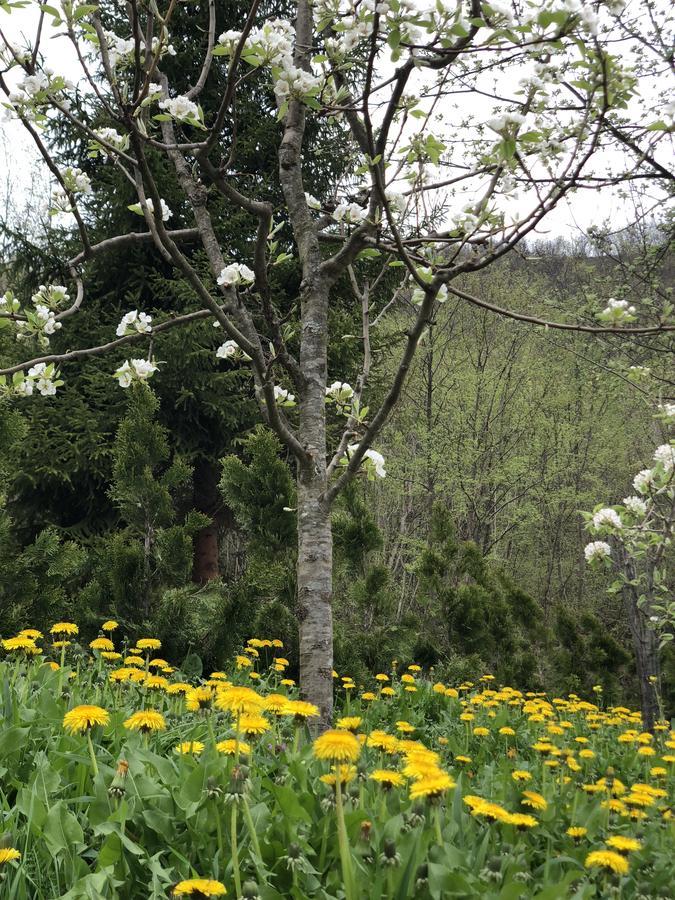 Villa Nature Bihać Екстериор снимка